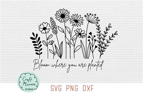 Bloom Where You Are Planted SVG - 46+  Best Flowers SVG Crafters Image