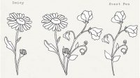 Sweet Pea Flower SVG - 64+  Popular Flowers SVG Cut Files