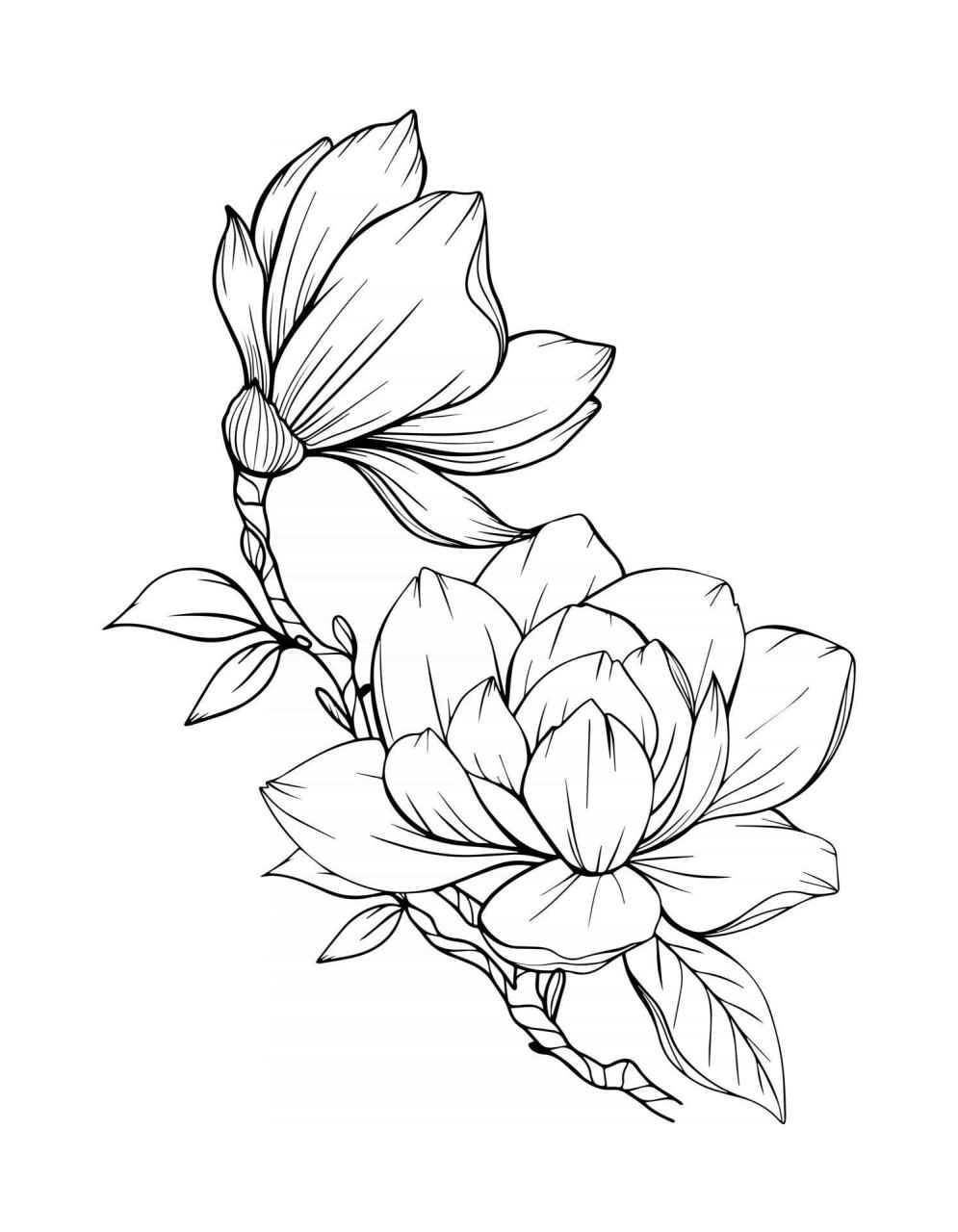 Magnolia Flower Outline Magnolia LIne Art Line Drawing Flower Line